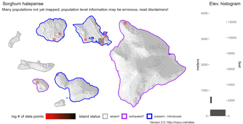 Distribution of Sorghum halepense in Hawaiʻi.