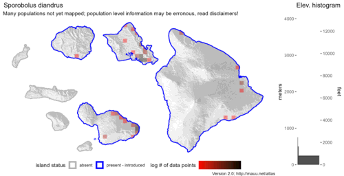 Distribution of Sporobolus diandrus in Hawaiʻi.