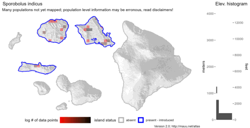 Distribution of Sporobolus indicus in Hawaiʻi.