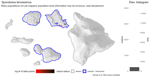 Distribution of Sporobolus tenuissimus in Hawaiʻi.