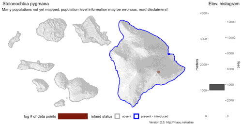 Distribution of Stolonochloa pygmaea in Hawaiʻi.