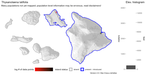 Distribution of Thysanolaena latifolia in Hawaiʻi.