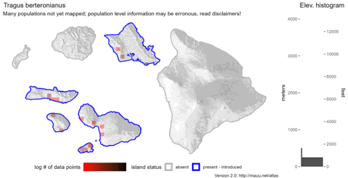 Distribution of Tragus berteronianus in Hawaiʻi.