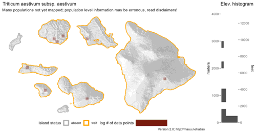 Distribution of Triticum aestivum subsp. aestivum in Hawaiʻi.