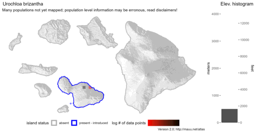 Distribution of Urochloa brizantha in Hawaiʻi.