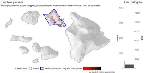 Distribution of Urochloa glumaris in Hawaiʻi.