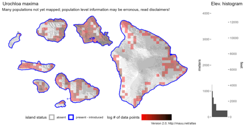  Distribution of Urochloa maxima in Hawaiʻi. 