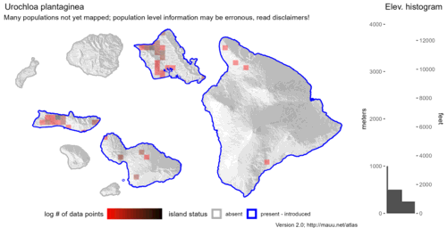  Distribution of Urochloa plantaginea in Hawaiʻi. 