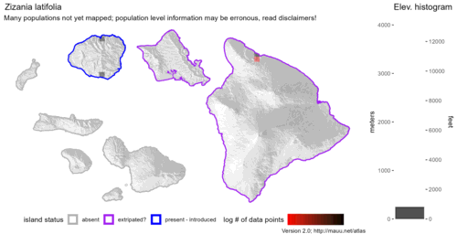 Distribution of Zizania latifolia in Hawaiʻi.