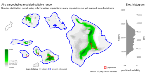 Distribution of Aira caryophyllea in Hawaiʻi.