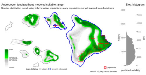 Distribution of Andropogon tenuispatheus in Hawaiʻi.