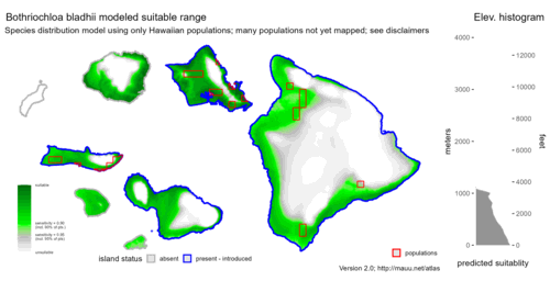 Distribution of Bothriochloa bladhii in Hawaiʻi.