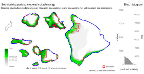 Distribution of Bothriochloa pertusa in Hawaiʻi.