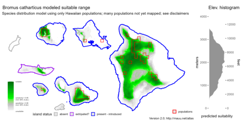 Distribution of Bromus catharticus in Hawaiʻi.