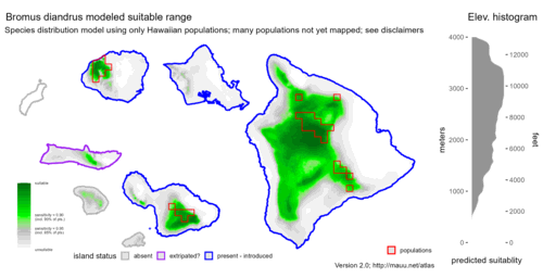 Distribution of Bromus diandrus in Hawaiʻi.