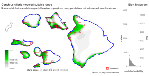 Distribution of Cenchrus ciliaris in Hawaiʻi.