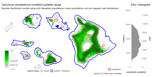 Distribution of Cenchrus clandestinus in Hawaiʻi.