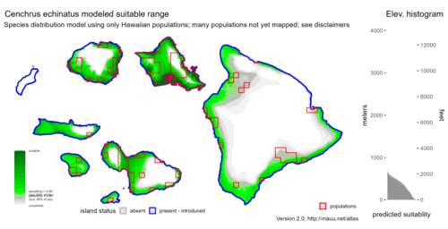 Distribution of Cenchrus echinatus in Hawaiʻi.