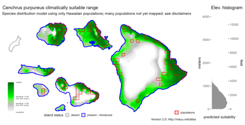 Distribution of Cenchrus purpureus in Hawaiʻi.