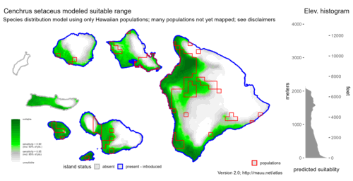 Distribution of Cenchrus setaceus in Hawaiʻi.