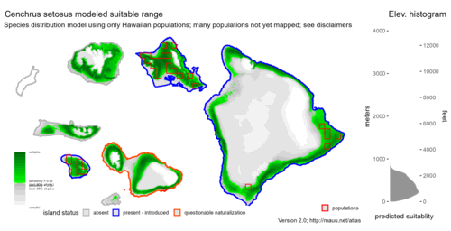 Distribution of Cenchrus setosus in Hawaiʻi.