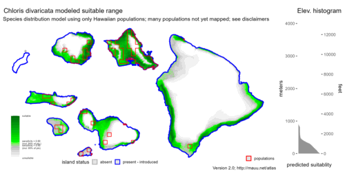 Distribution of Chloris divaricata in Hawaiʻi.