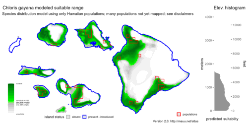 Distribution of Chloris gayana in Hawaiʻi.