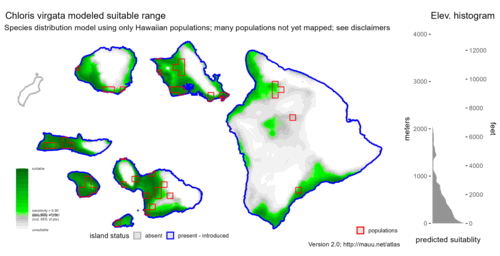 Distribution of Chloris virgata in Hawaiʻi.