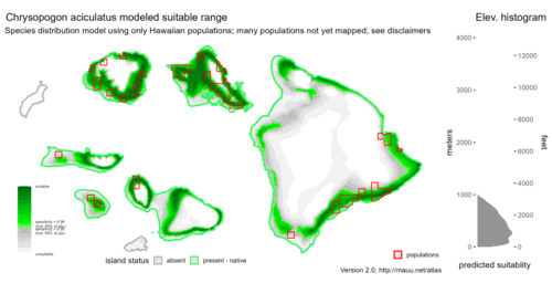 Distribution of Chrysopogon aciculatus in Hawaiʻi.