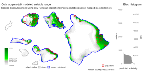 Distribution of Coix lacryma-jobi in Hawaiʻi.