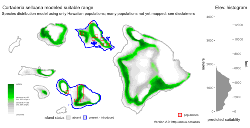 Distribution of Cortaderia selloana in Hawaiʻi.