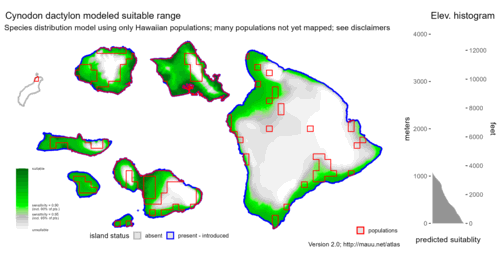 Distribution of Cynodon dactylon in Hawaiʻi.