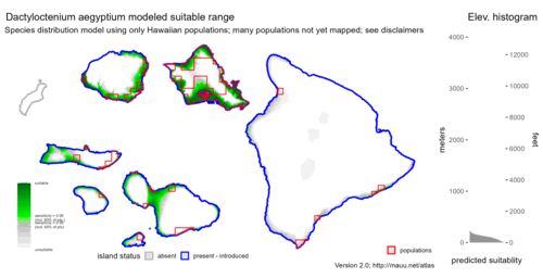 Distribution of Dactyloctenium aegyptium in Hawaiʻi.