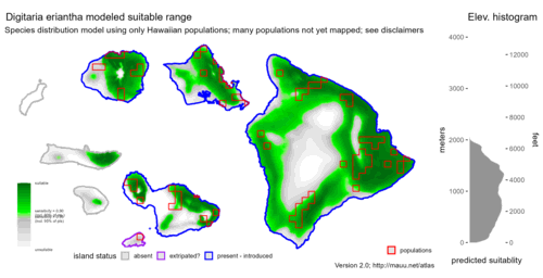 Distribution of Digitaria eriantha in Hawaiʻi.