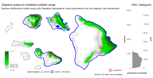 Distribution of Digitaria scalarum in Hawaiʻi.