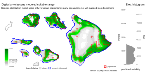 Distribution of Digitaria violascens in Hawaiʻi.