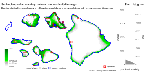 Distribution of Echinochloa colonum subsp. colonum in Hawaiʻi.