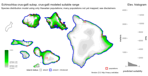 Distribution of Echinochloa crus-galli subsp. crus-galli in Hawaiʻi.