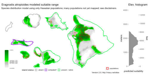 Distribution of Eragrostis atropioides in Hawaiʻi.