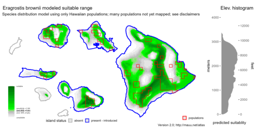 Distribution of Eragrostis brownii in Hawaiʻi.