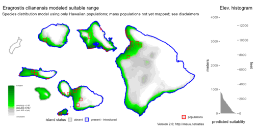 Distribution of Eragrostis cilianensis in Hawaiʻi.