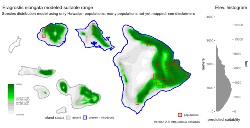 Distribution of Eragrostis elongata in Hawaiʻi.