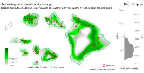 Distribution of Eragrostis grandis in Hawaiʻi.