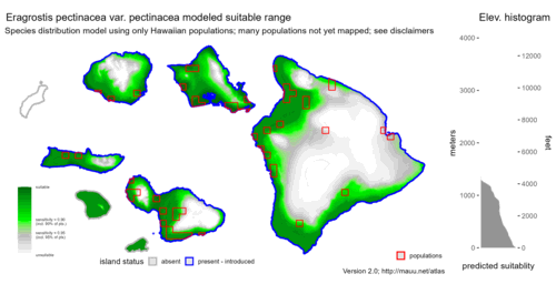 Distribution of Eragrostis pectinacea var. pectinacea in Hawaiʻi.