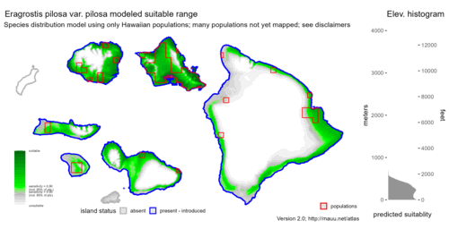 Distribution of Eragrostis pilosa var. pilosa in Hawaiʻi.