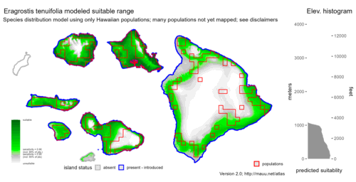 Distribution of Eragrostis tenuifolia in Hawaiʻi.