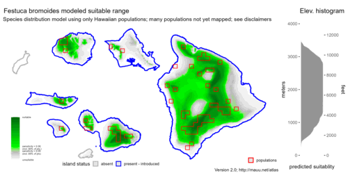 Distribution of Festuca bromoides in Hawaiʻi.