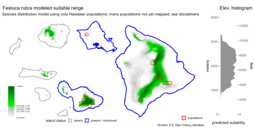 Distribution of Festuca rubra in Hawaiʻi.