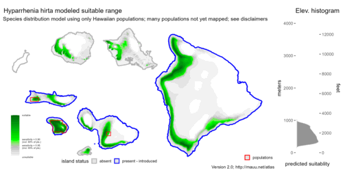 Distribution of Hyparrhenia hirta in Hawaiʻi.