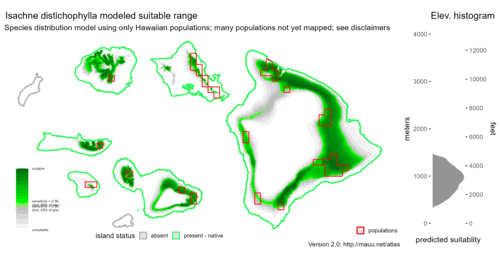 Distribution of Isachne distichophylla in Hawaiʻi.